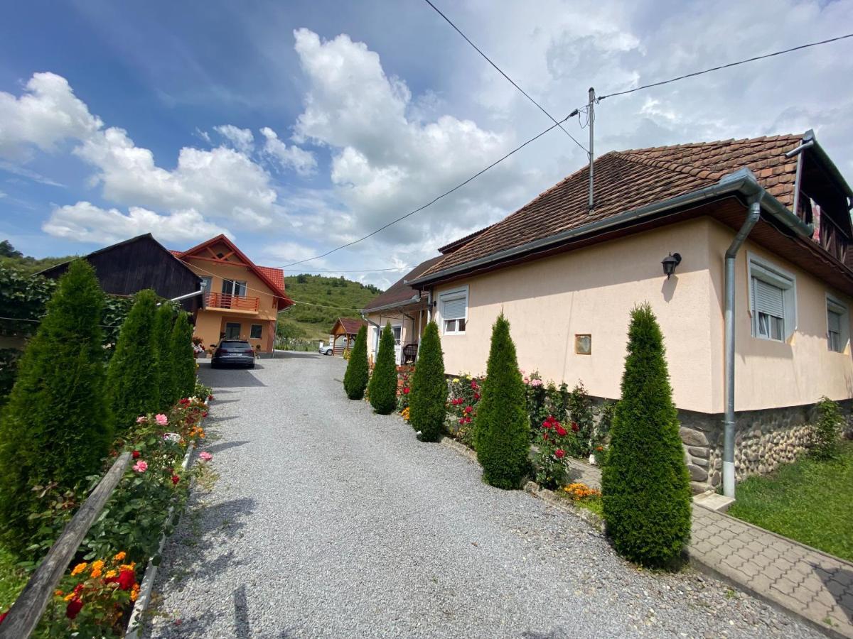 Casa Alberto Panzió Szováta Kültér fotó